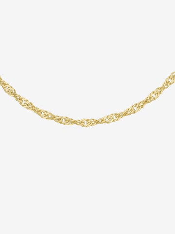 Lucardi Necklace in Gold