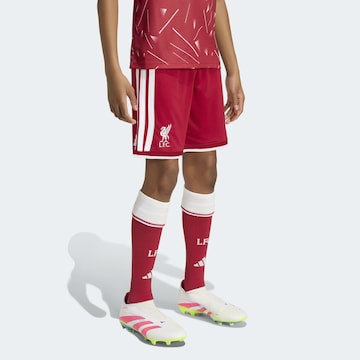 ADIDAS PERFORMANCE - regular Pantalón deportivo 'FC Liverpool 26/27' en rojo
