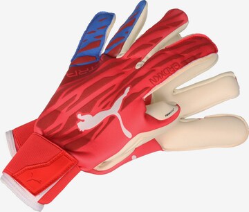 PUMA Athletic Gloves in Red