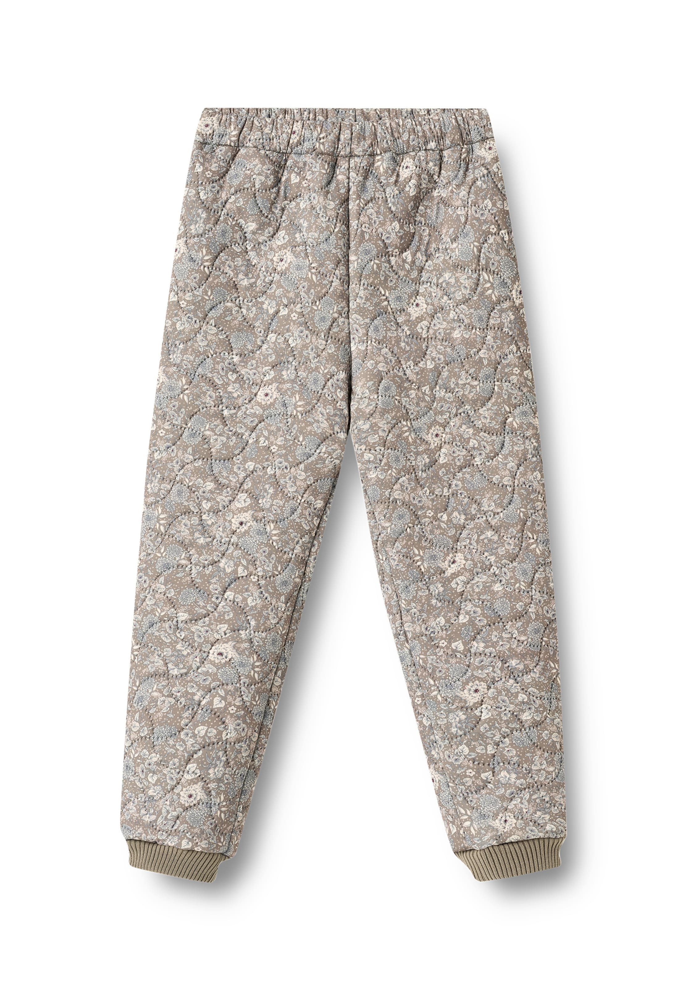 Pantaloni funzionali 'Alex' di WHEAT in grigio: frontale