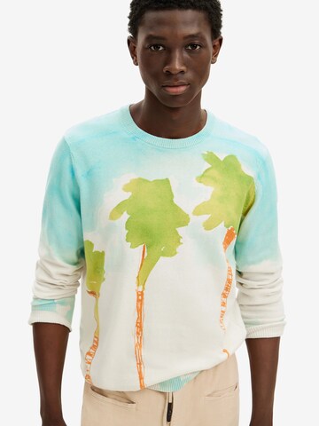 Desigual Sweatshirt in Mischfarben