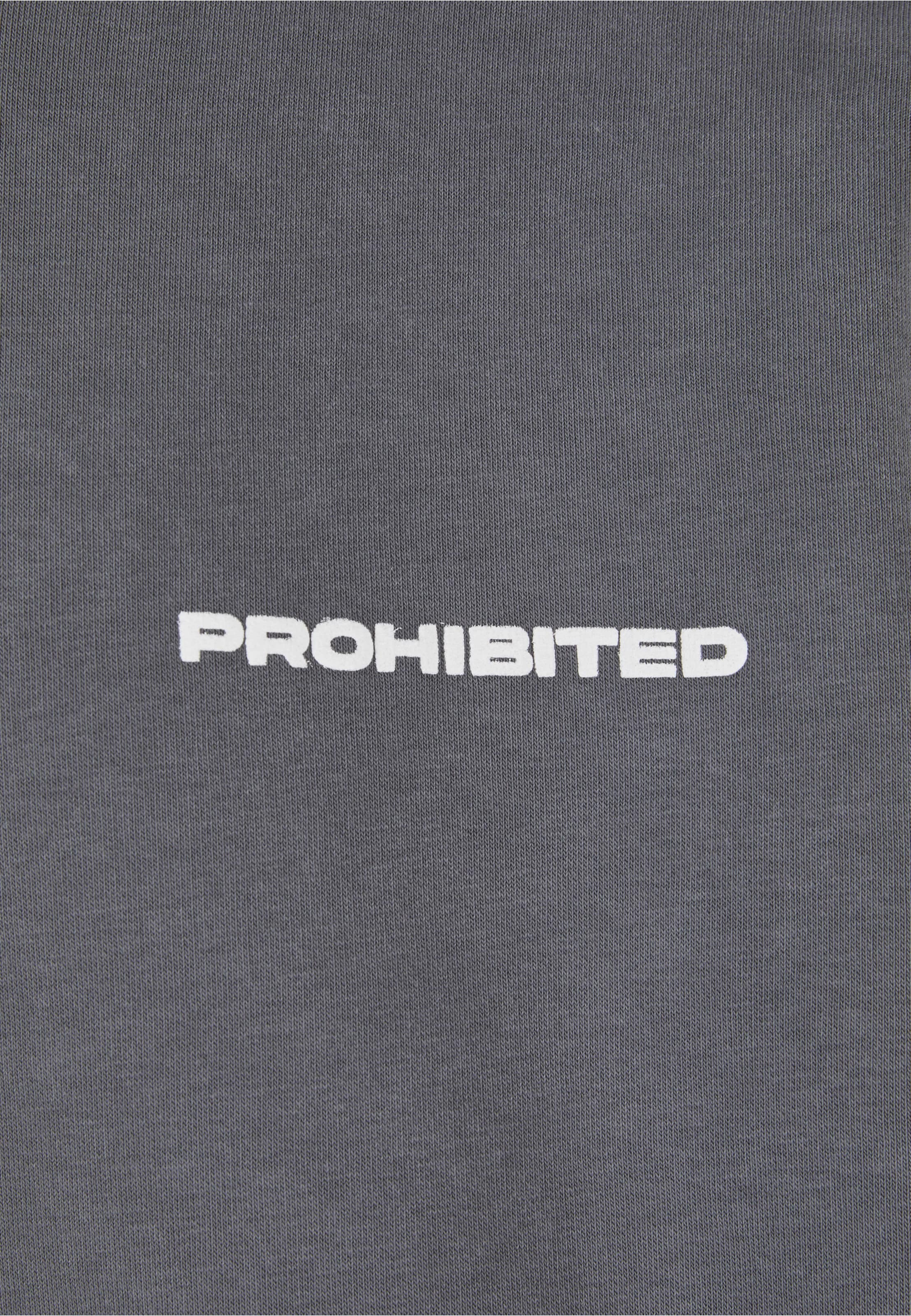 Prohibited Sweatshirt i grå