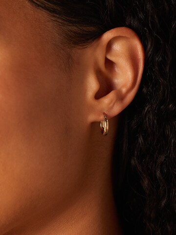 Boucles d'oreilles Lucardi en or : devant