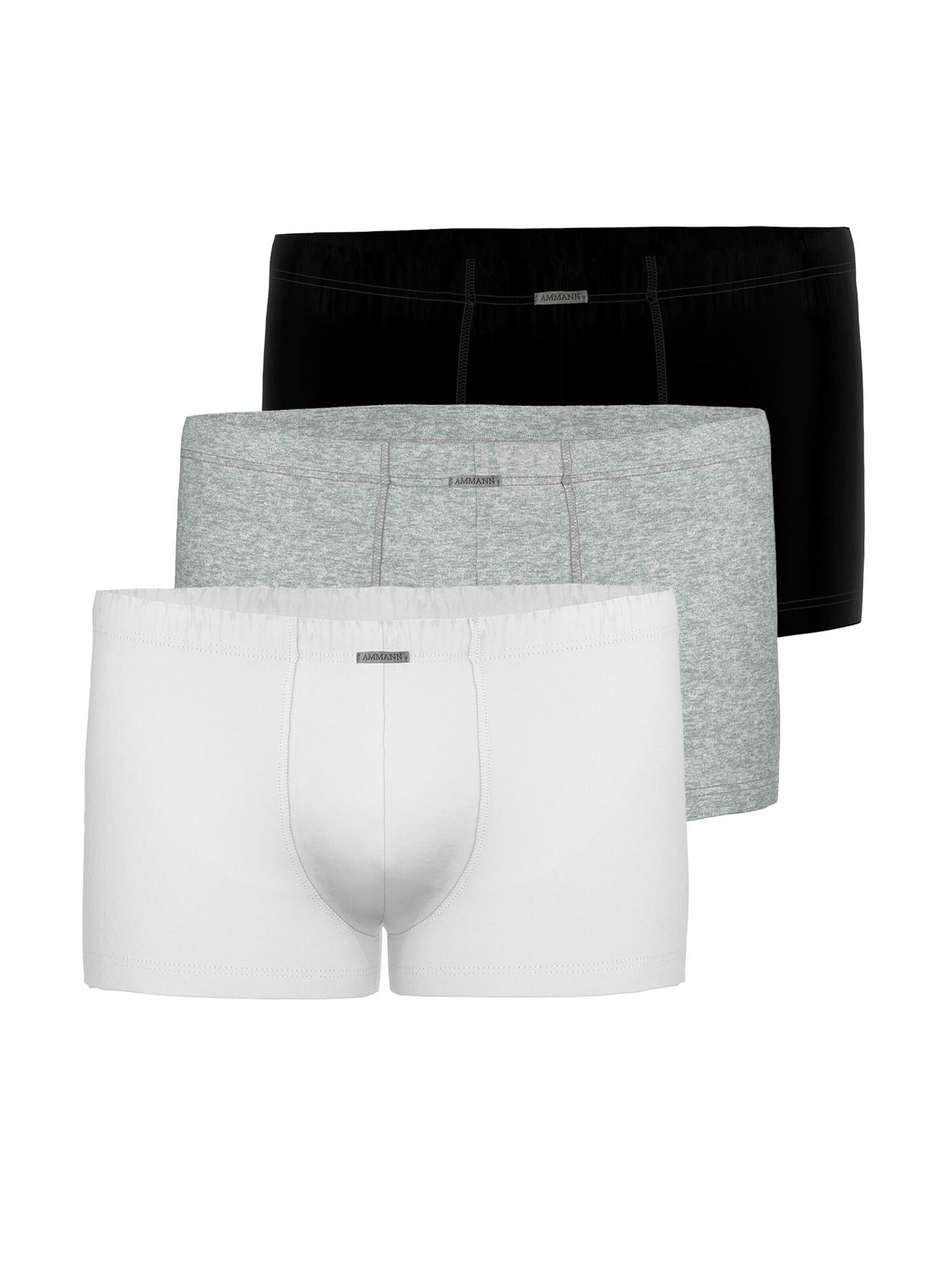 Ammann Boxer shorts 'Close to you' in Grey: front