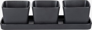 Wenko Bowl in Black: front