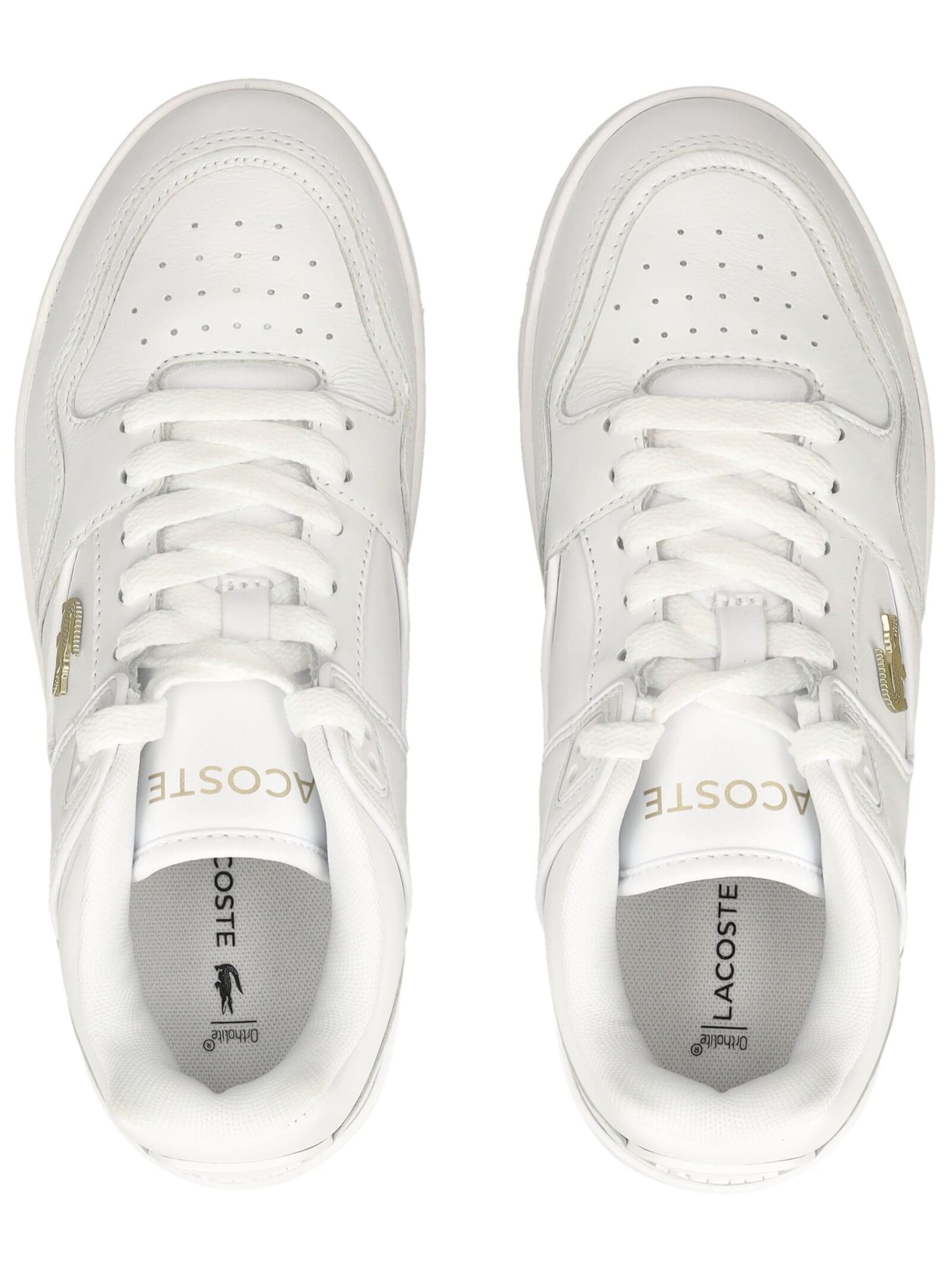 Sneaker bassa di LACOSTE in bianco