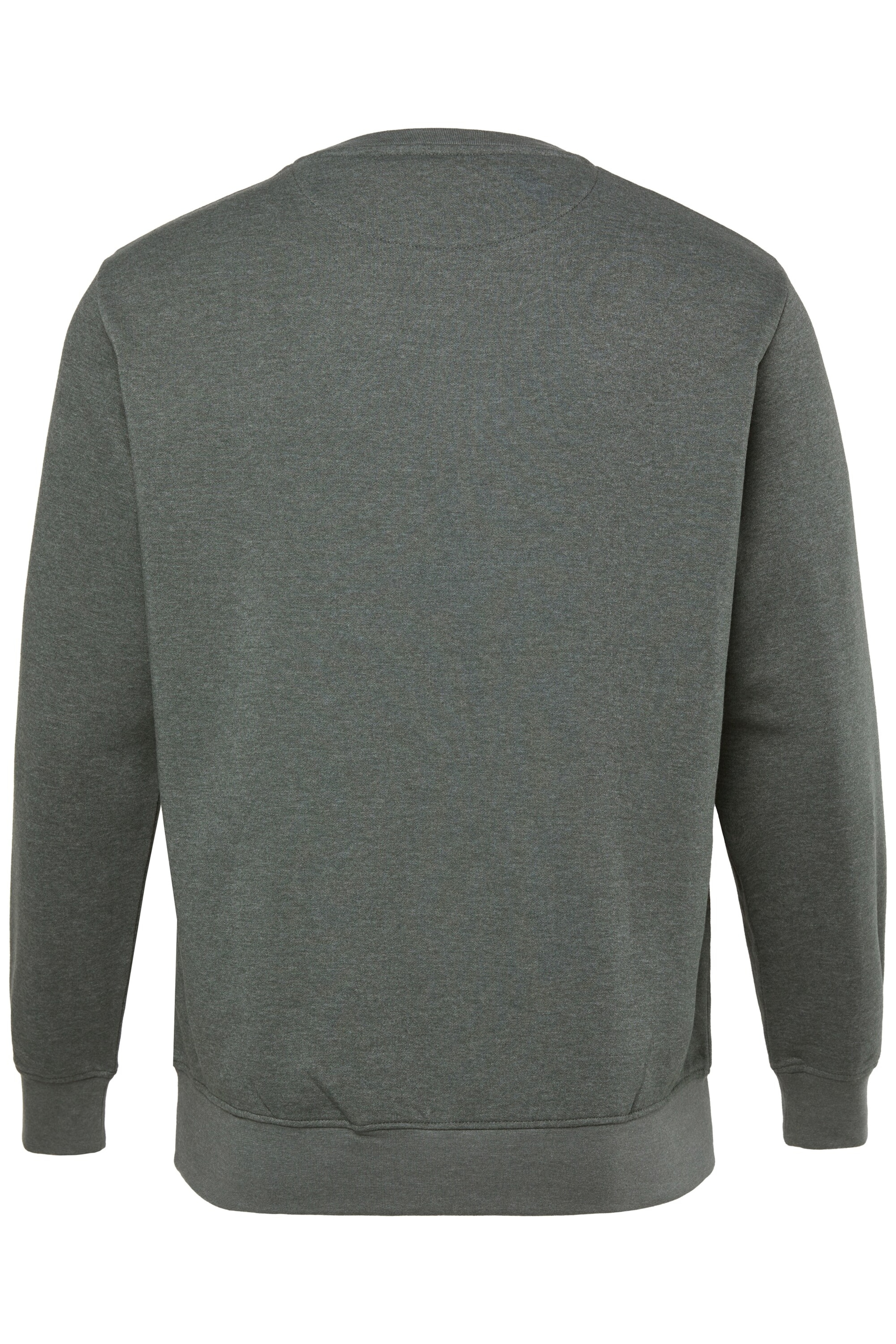 Men Plus Sweatshirt in Groen