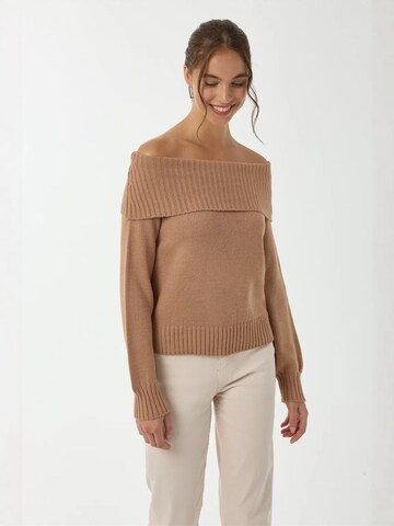 Hiccup Pulover 'Pullover' | rjava barva