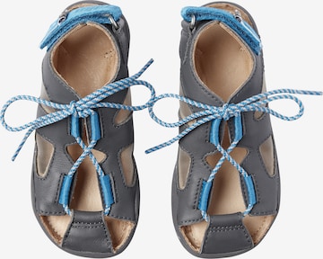 Affenzahn Sandals & Slippers 'HUND' in Grey