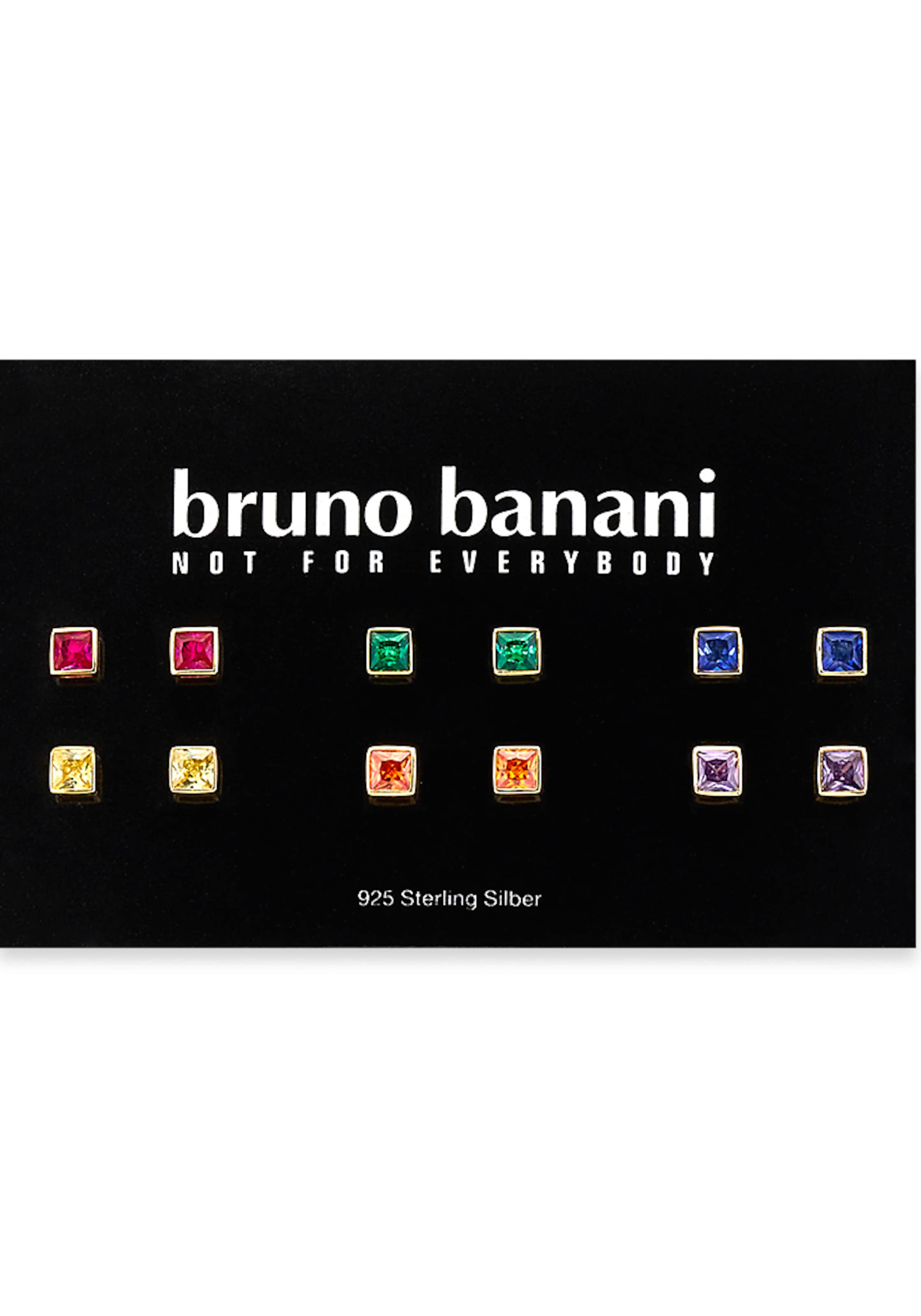 Bruno Banani LM Earrings in Mixed colors: front