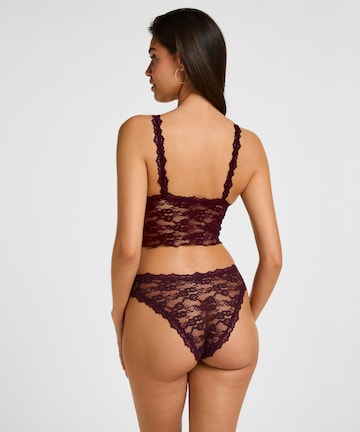 Hunkemöller Broekje in Lila