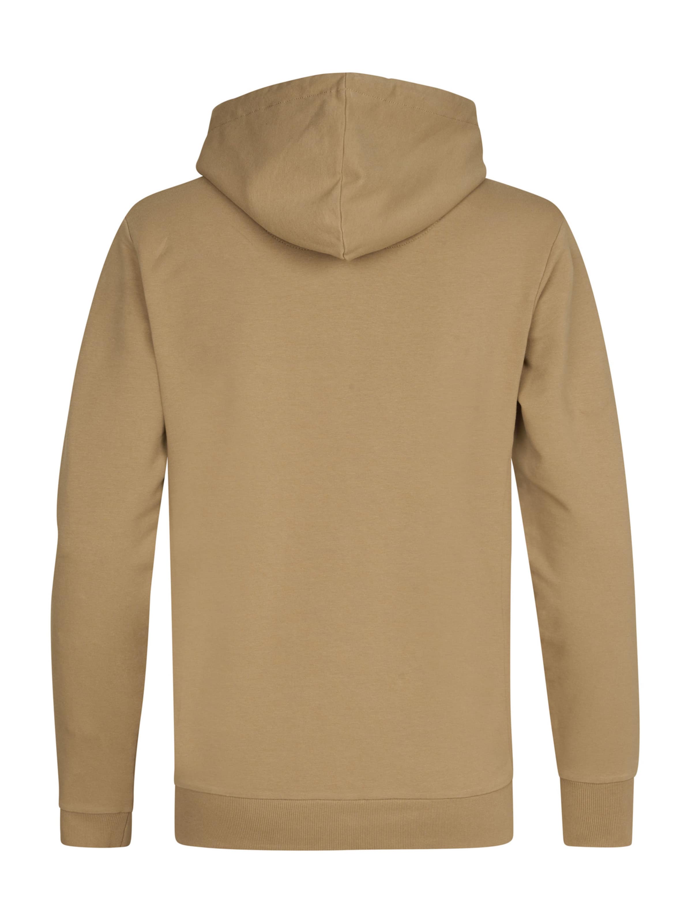 Sweat-shirt 'Driftwood' Petrol Industries en marron