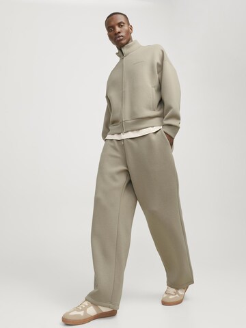 JACK & JONES Regular Hose in Silber