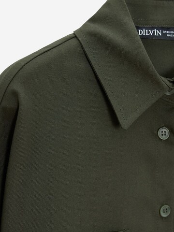 Dilvin Shirt in Groen