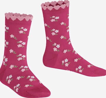 FALKE Socks 'Ditsy Flowers' in Pink: front
