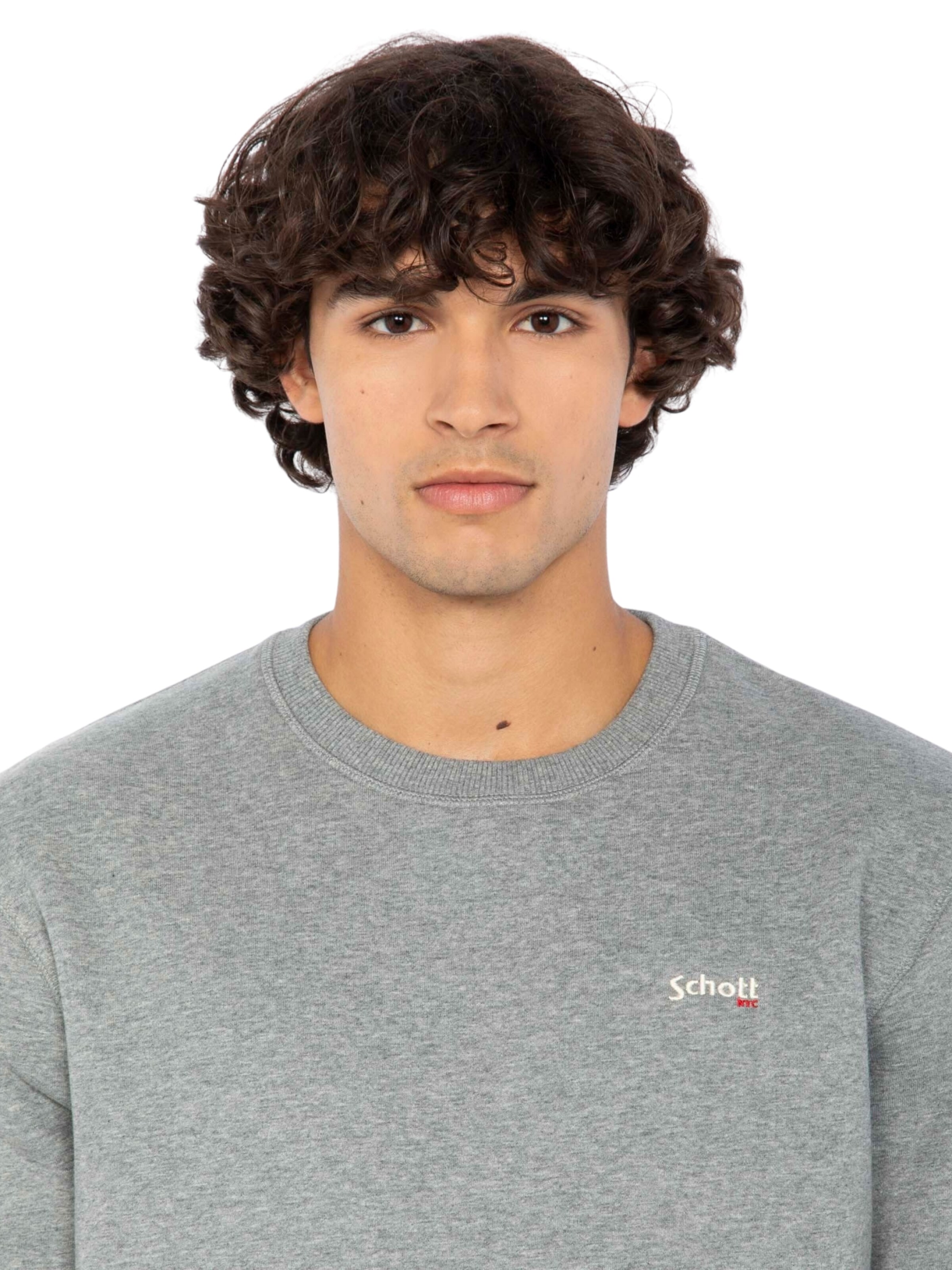 Schott NYC Sweatshirt in Grey