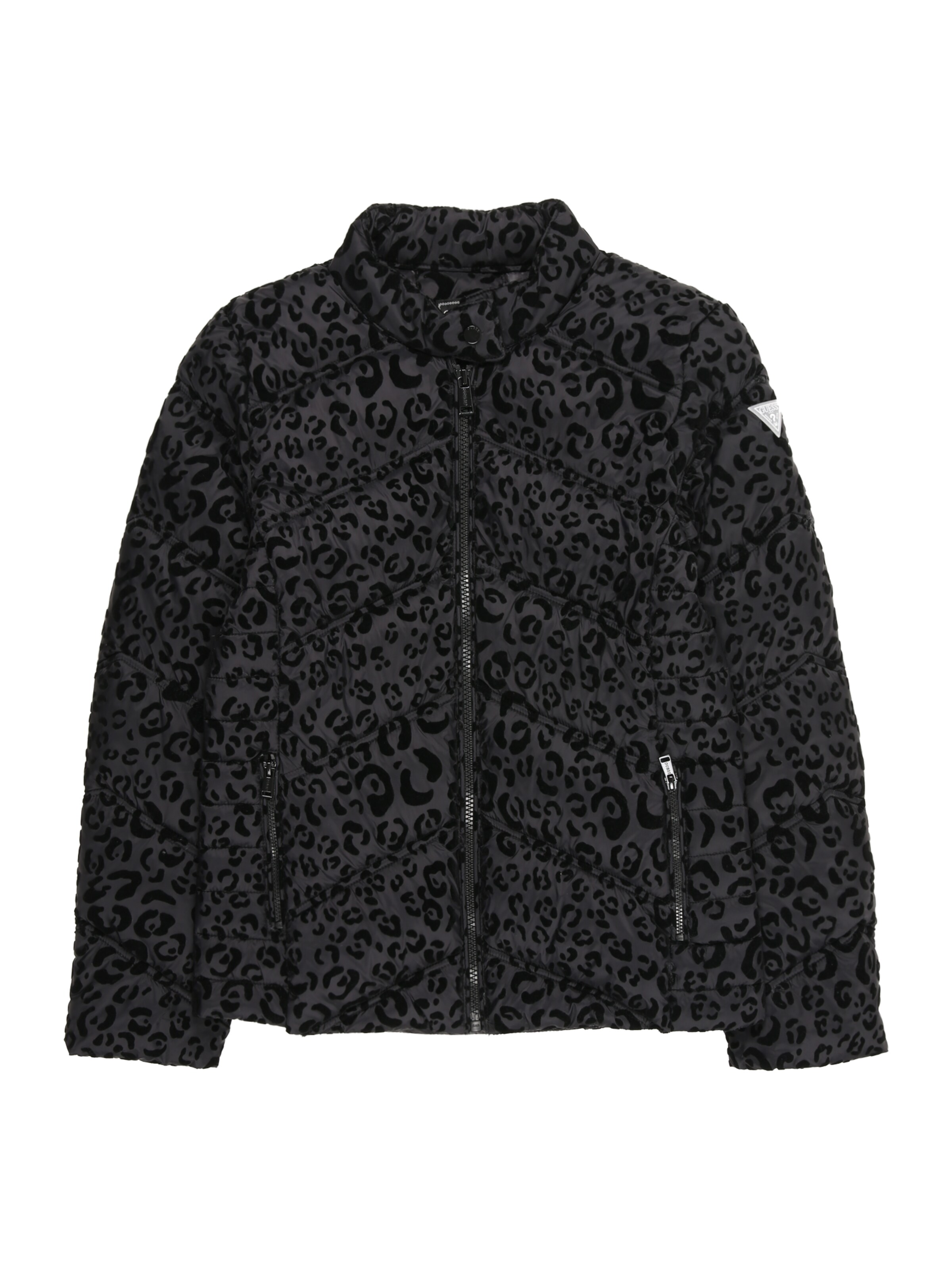 GUESS Winter Jacket in Black: front