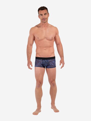 Boxers ' Star Island ' HOM en bleu
