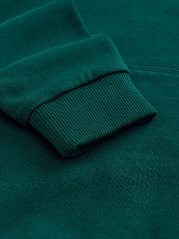 Next Bluza w kolorze zielony