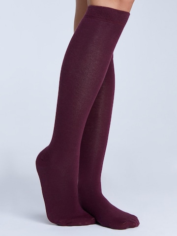 Albero Natur Knee High Socks in Red