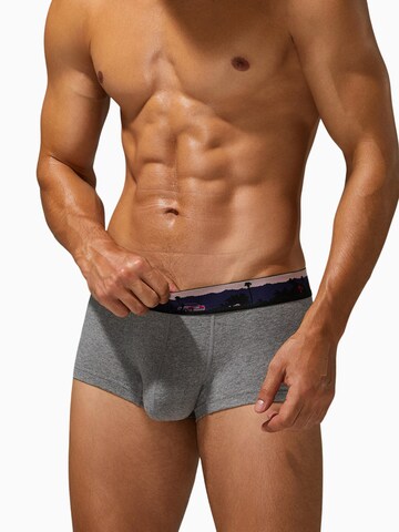 SEOBEAN Boxershorts‌‌‌‌ in Grau