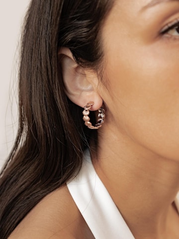 Hey Happiness Earrings 'Coastal Shell Hoop' in Gold: front