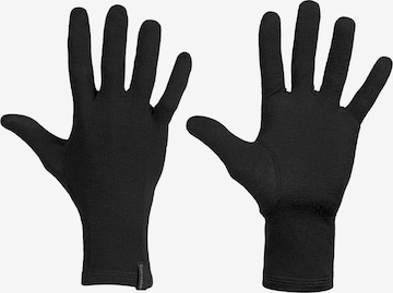 Gants de sport 'U 200 Oasis' ICEBREAKER en noir : devant