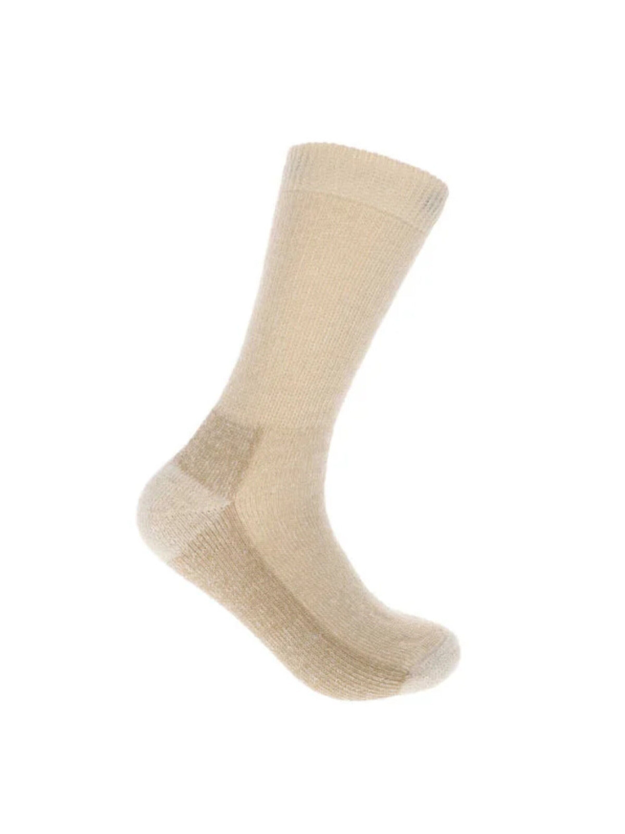 Merino Love Socks 'The Alpine Sokken' in Beige: front