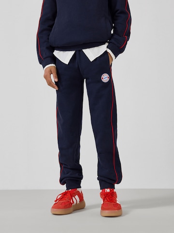 FC BAYERN MÜNCHEN Regular Pants in Blue: front