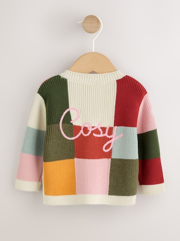 Next Gebreid vest in Gemengde kleuren