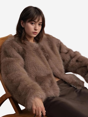 Manteau d’hiver MixRay en marron