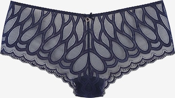 LASCANA Boyshorts in Blue: front