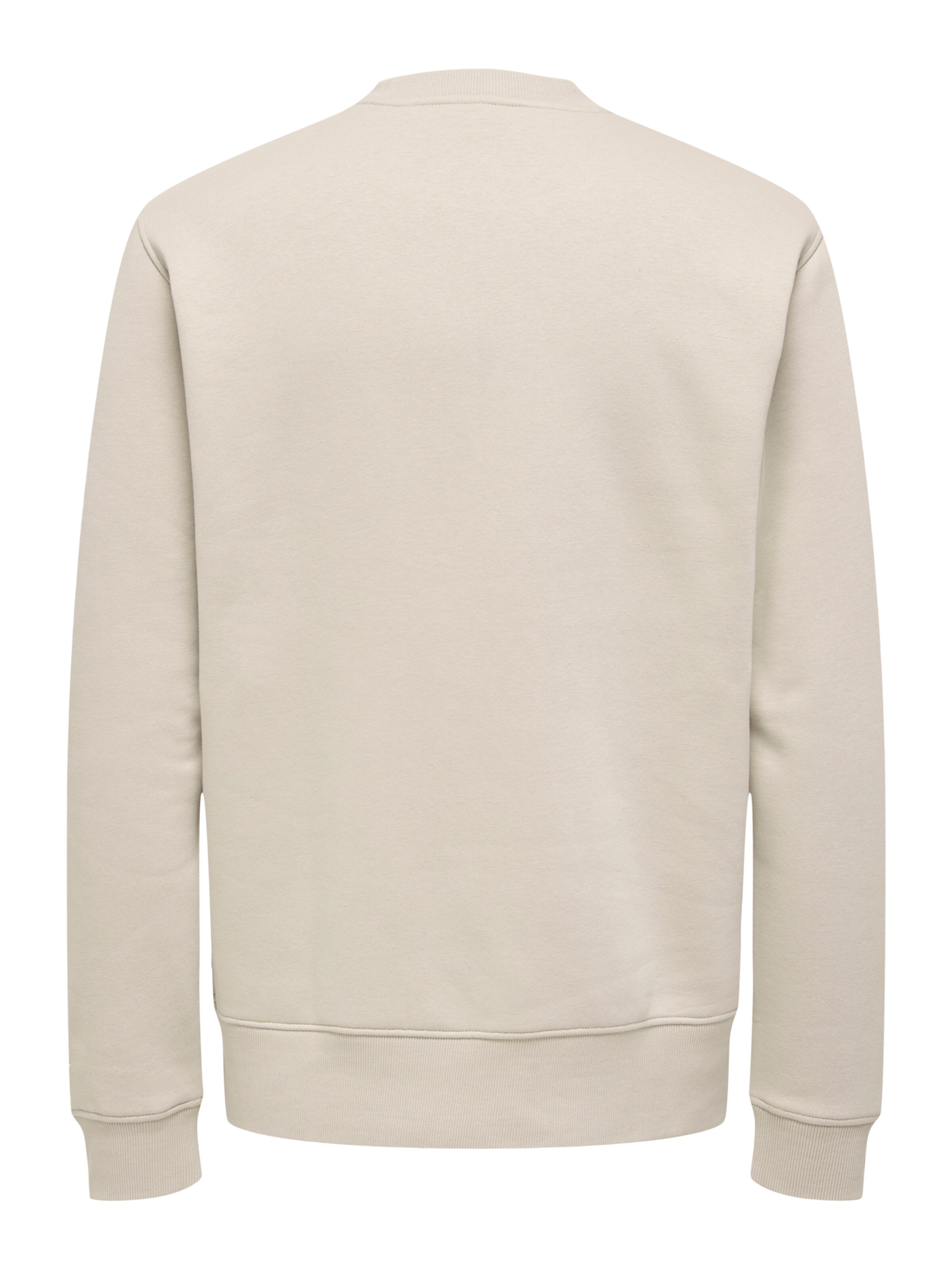 Only & Sons - Sudadera 'ONSDAWSON' en gris
