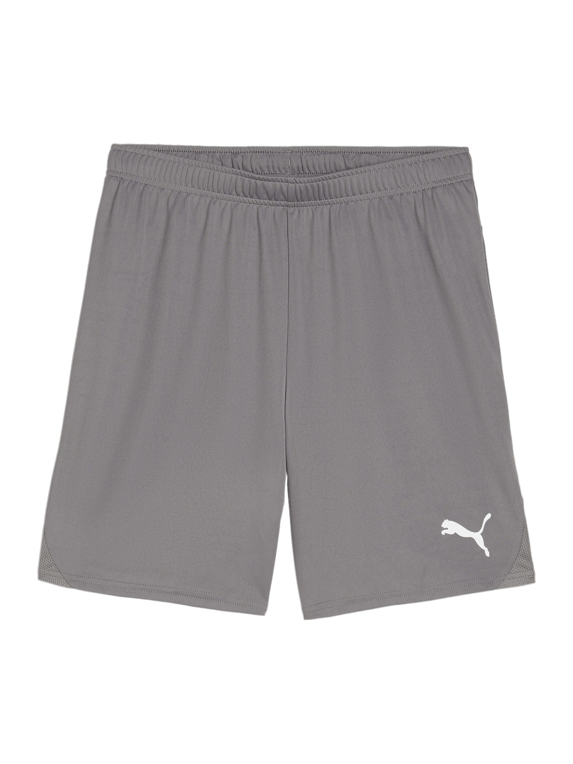 PUMA Sporthose 'TeamGoal' in Grau: Vorderseite