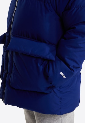 THE NORTH FACE Куртка в спортивном стиле в Синий