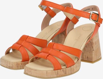 Paul Green Strap Sandals in Orange