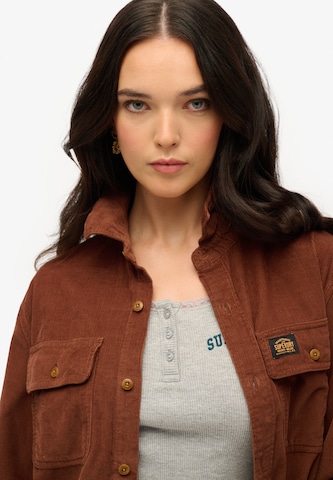 Superdry Tussenjas in Bruin