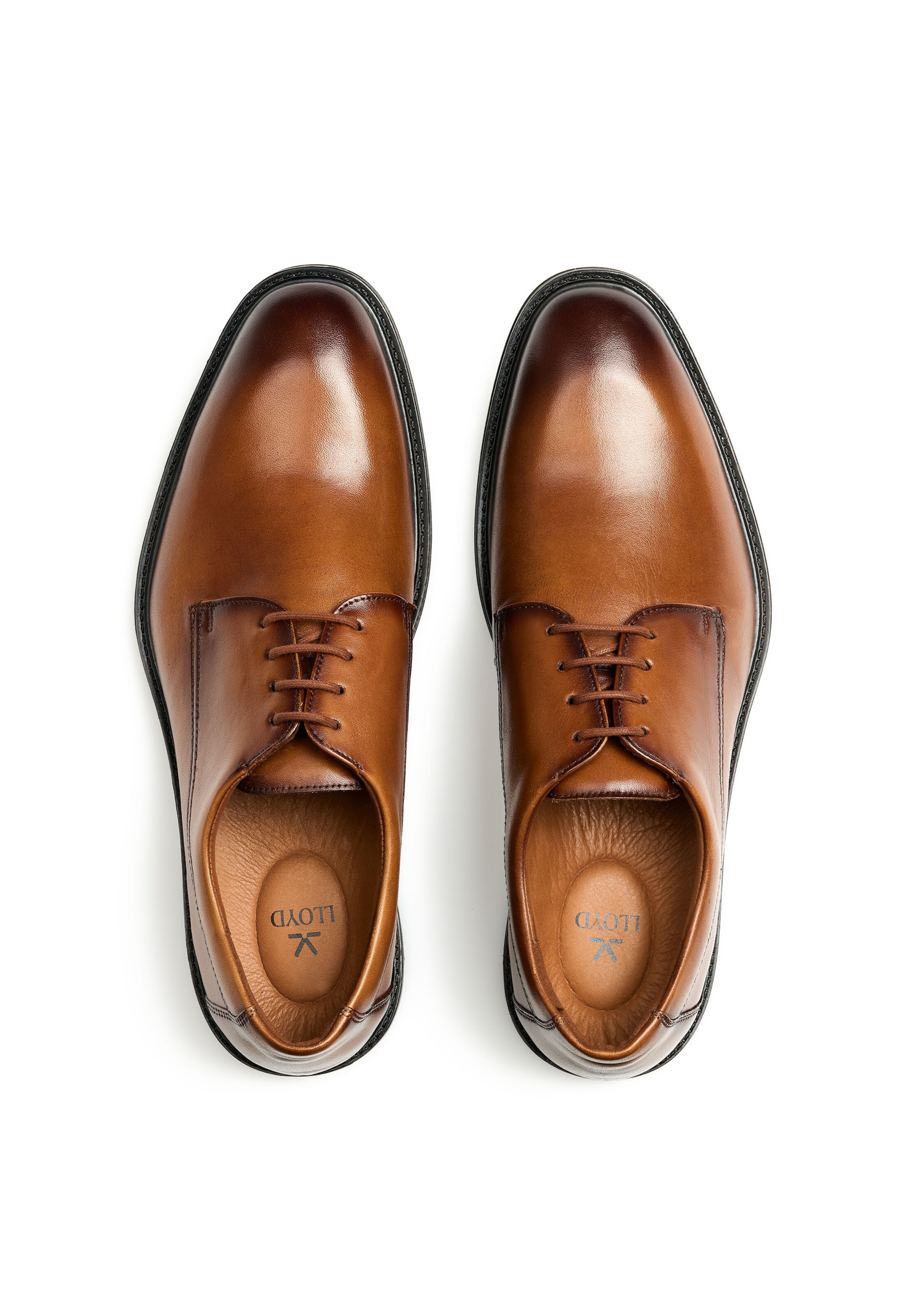 LLOYD Lace-up shoe in Brown