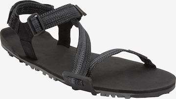Xero Shoes Sandale 'Z-Trail EV' in Schwarz: predná strana