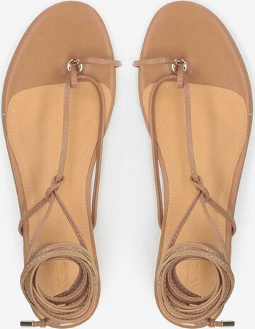 Kazar T-Bar Sandals in Brown