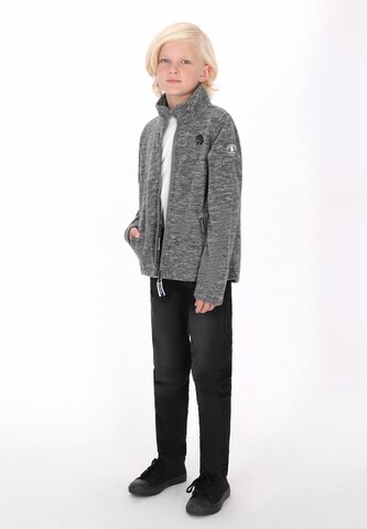 Schmuddelwedda Fleecejacke in Grau