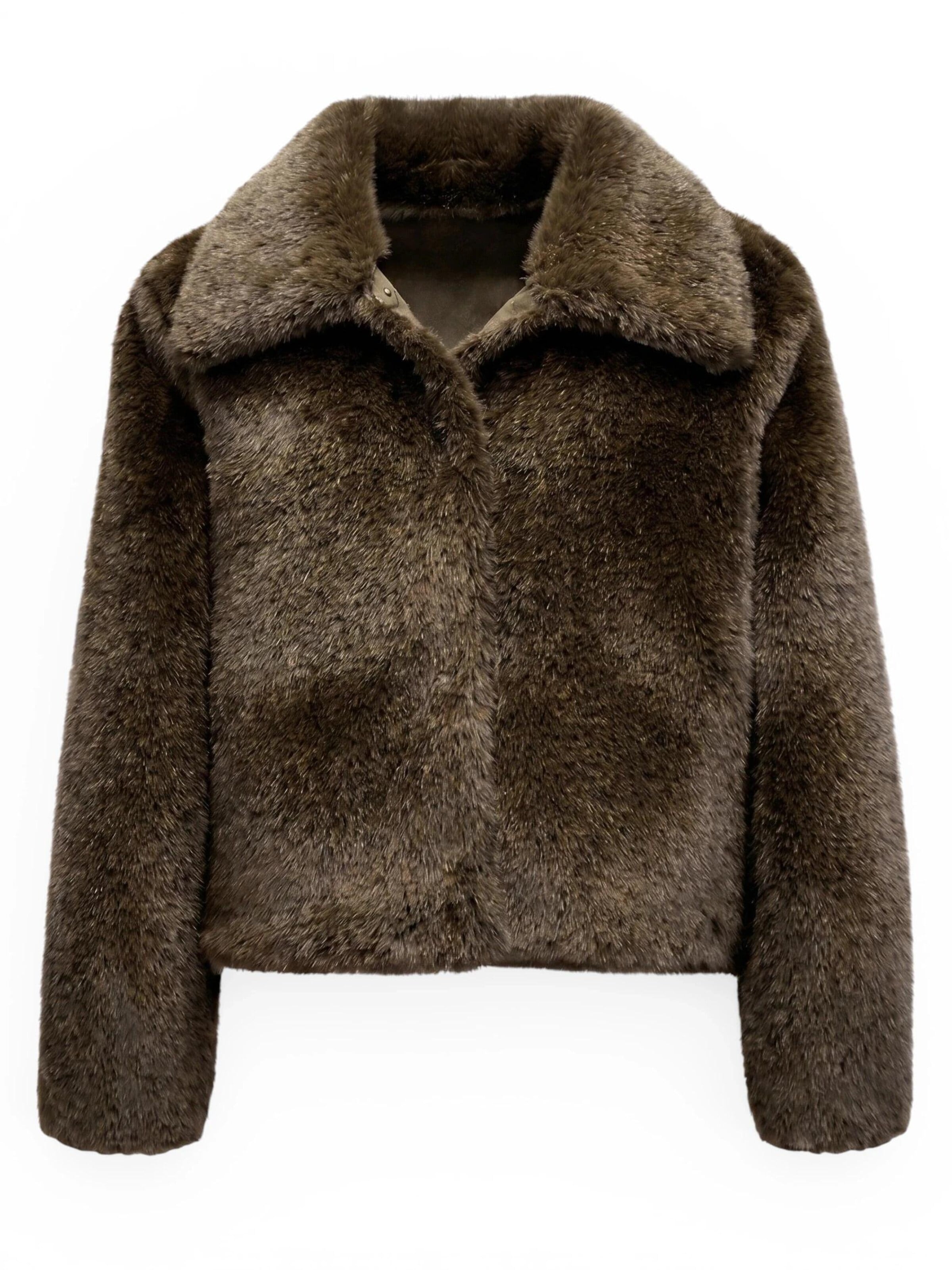 Funk since 1776 Winter Jacket 'Wendejacke' in Green: front