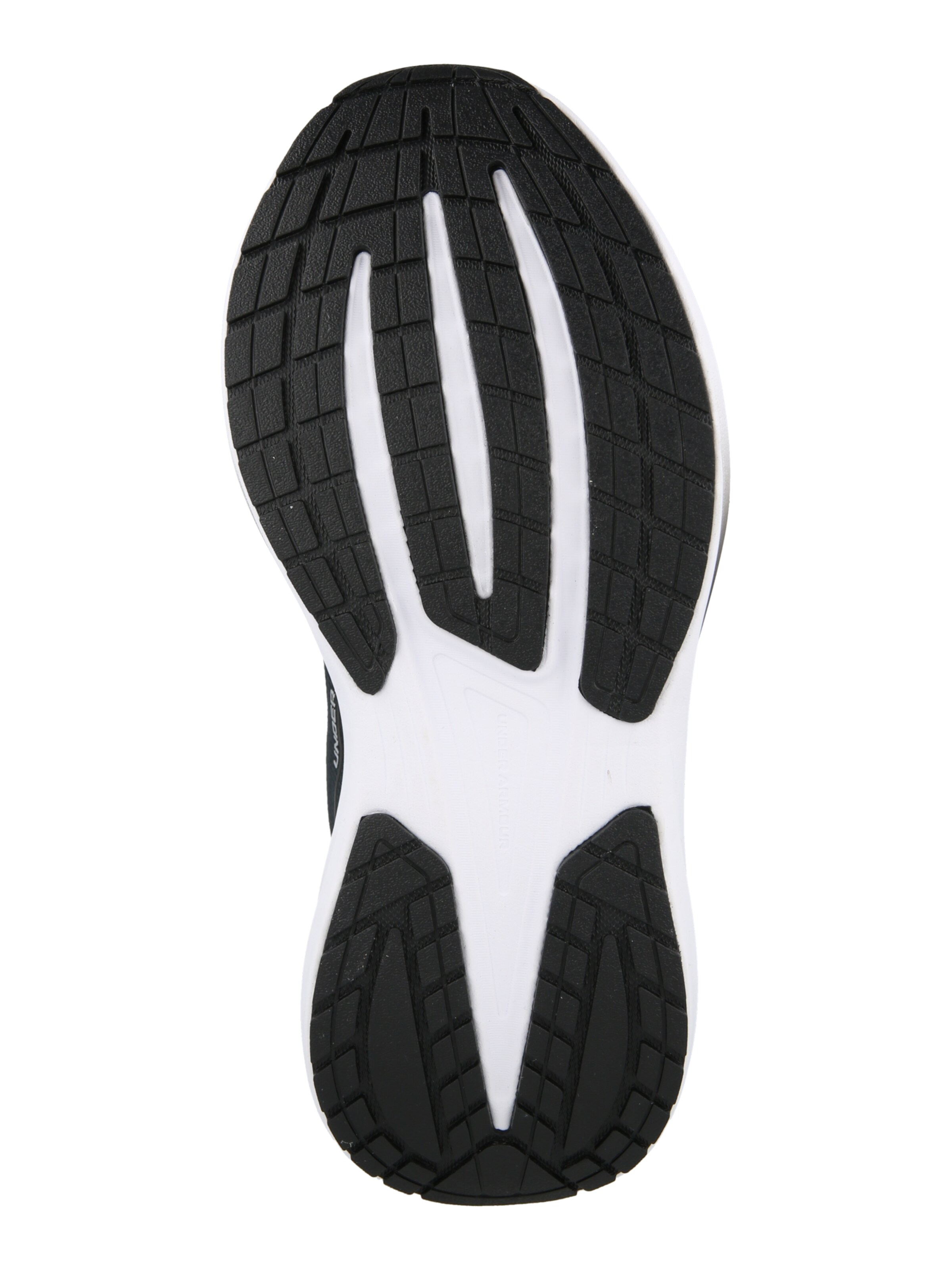 UNDER ARMOUR Running Shoes 'Velociti Pace' in Black