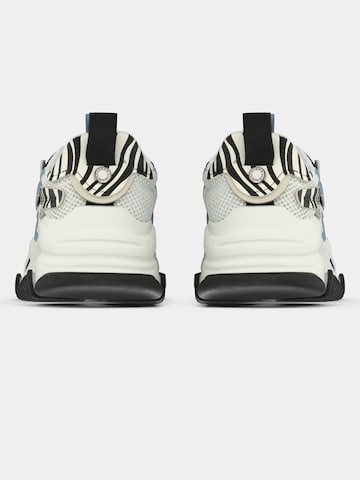 Sneaker bassa 'Possession' di STEVE MADDEN in bianco