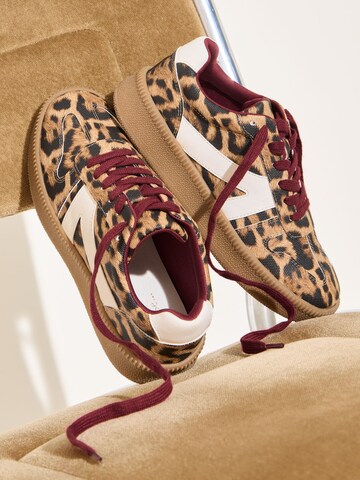 Baskets basses Friends Like These en marron