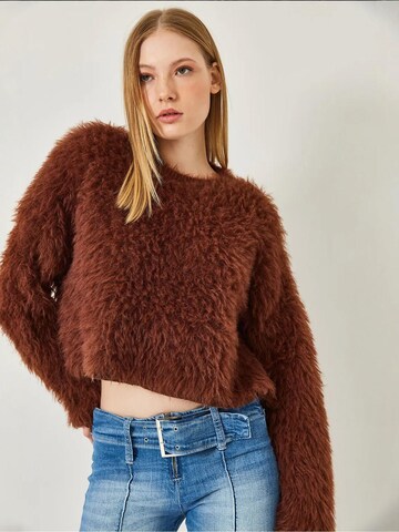 Bianco LucciPulover 'Pullover' - smeđa boja