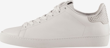 Högl Sneakers in White: front