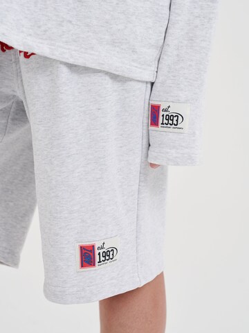 Regular Pantaloni de la AND1 pe gri