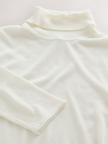 Next Sweater in Beige
