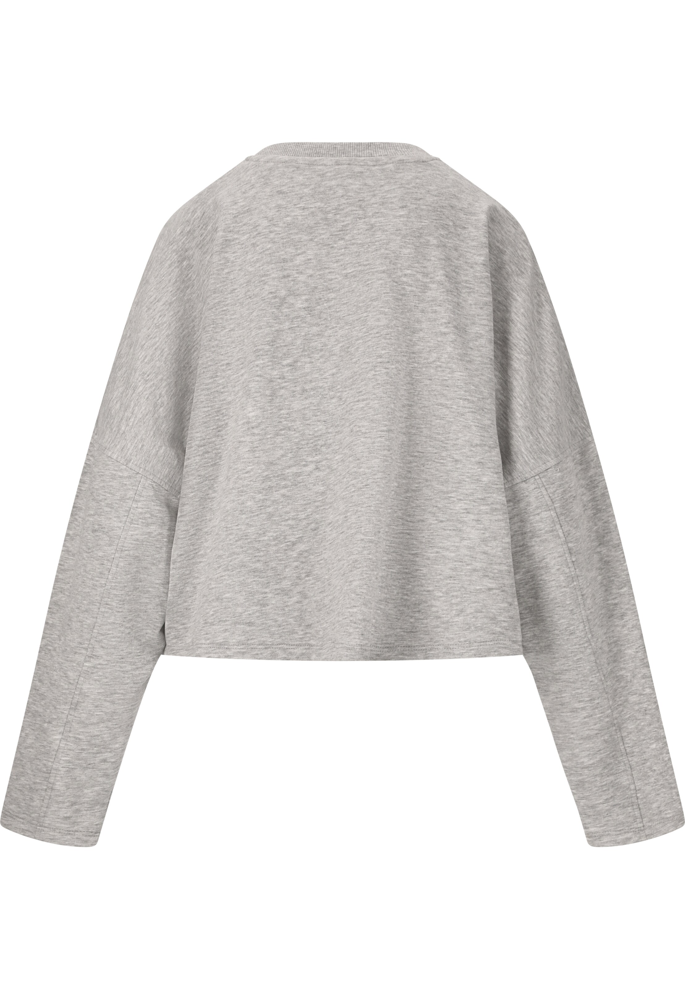 Les'Arcs Sweatshirt 'Clairen' in Grau